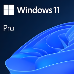 WINDOWS 11 PRO LICENSE